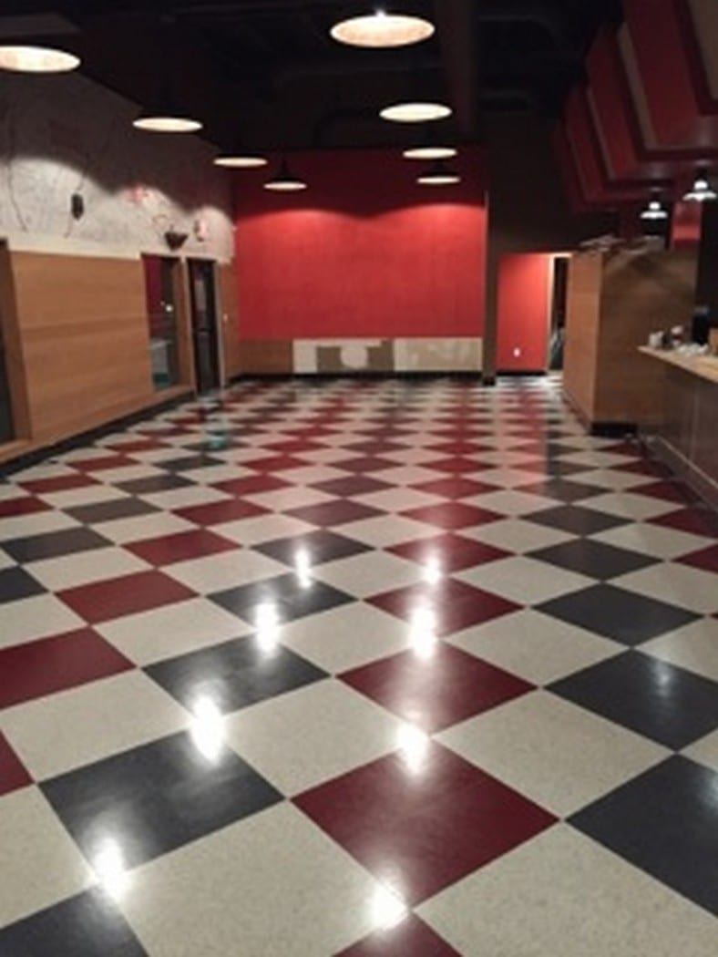Bob Cat Diner commercial build: Bob Cat Diner commercial build: construction progress and structural craftsmanship